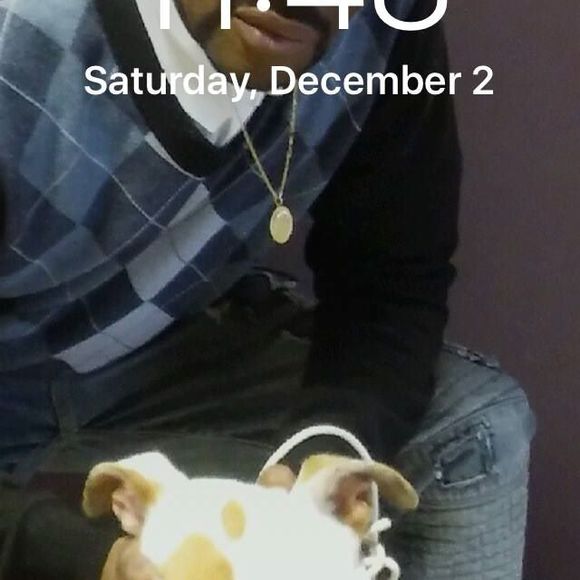 Meet your Posher, Michael - Picture 1 of 1